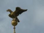 aigle prussien sur les toits du Neues Palais à Potsdam